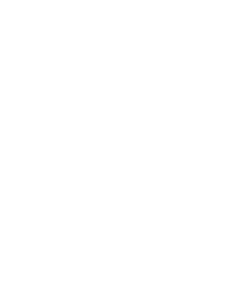 logo BotCity