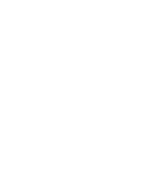 logo Fivetran